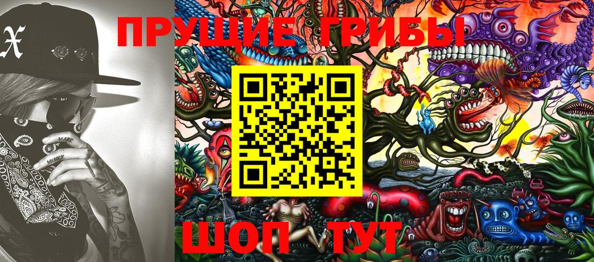 Елизово  Псилоцибиновые грибы Magic Shrooms  Вход с VPN 